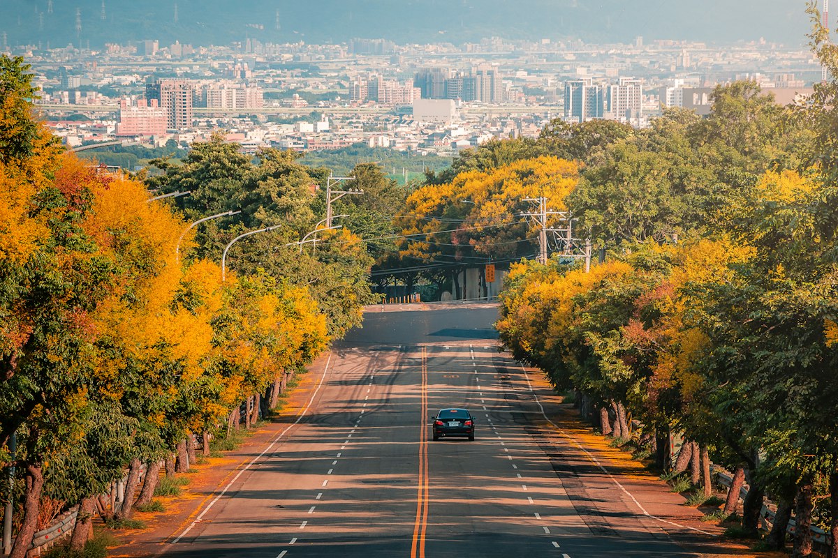 Calligraphy Greenway cover photo